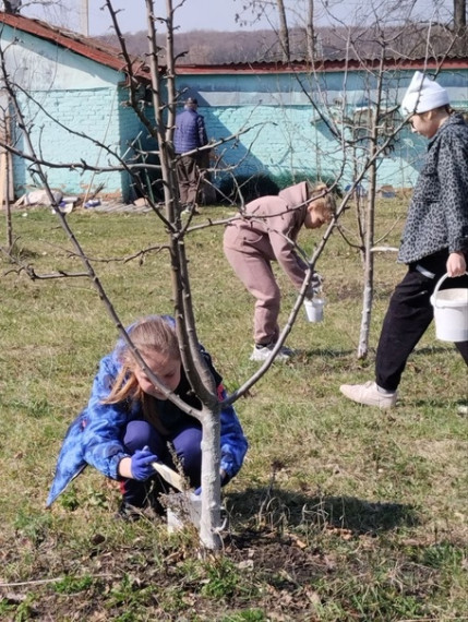 День Земли.