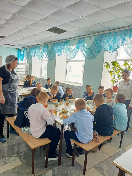 Родительский контроль школьного питания..